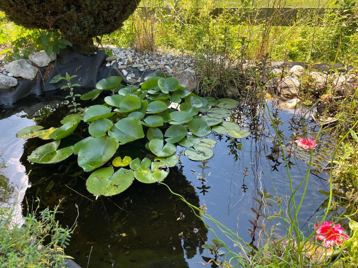 Ferienwohnungen Zum Attersee Lenzing Esterno foto